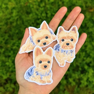 Bright-eyed Hand-drawn Yorkie (Yorkshire Terrier) Stickers