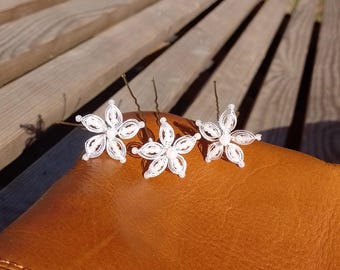 Blüte Cheaky Cordonett