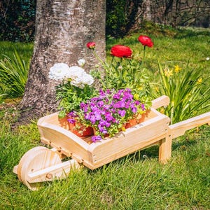 Hölzerne Garten Mini-Schubkarre Pflanzer, hölzernes Pflanzgefäß, Mini-Schubkarre Pflanzgefäß, Holzbearbeitungs-Blumen-Pflanzer, digitale PDF-Pläne