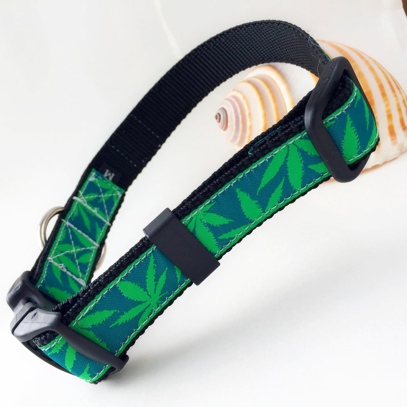 Green Weed Dog Collar With Rust Proof Stainless Steel Dring, Saltwater