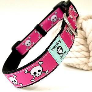 Pink Pirate Dog Collar: Stainless Steel, Saltwater Safe
