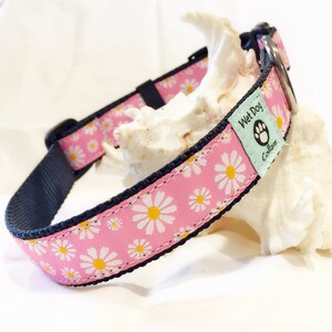 May include: Pink dog collar with a white daisy pattern and black trim. The collar has a metal buckle and a tag that says "Wet Dog Collars".