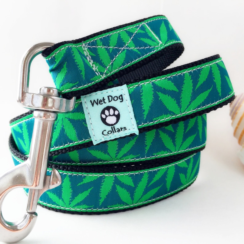 Green Weed Dog Collar With Rust Proof Stainless Steel Dring, Saltwater