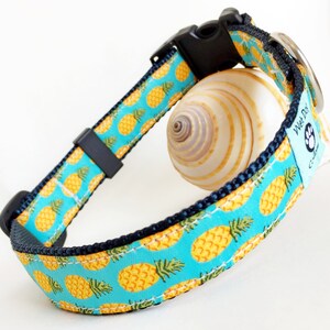 Pineapple Dog Collar: Aqua Tropical Print, Stainless Steel Hardware