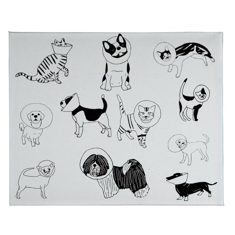Veterinarian Gift Veterinarian Gift Tea Towel Cats and Dogs Tea Towel Cone Cats Cone Dogs Tea Towel Veterinarians Gift