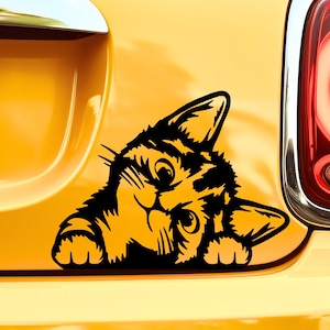 Cat Peeker Sticker - Vinyl Decal Peeking Stickers Cat Decals For Car Decal Tumbler Decals Laptop Decal Window Decal Cute Stickers Cat Decor
