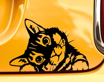 Könnte beinhalten: Schwarze Silhouette eines Katzenkopfes, der hinter einer gelben Oberfläche hervorlugt. Die Augen der Katze sind groß und rund, und ihr Fell ist mit Streifen detailliert.