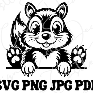 Écureuil SVG - téléchargement numérique des cliparts coupés fichiers dessins commerciaux artisanat Cricut vinyle graver PNG jpg Cricut Projects graphiques vectoriels
