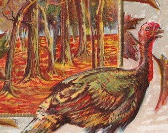 Thanksgiving turkeys vintage postcard, Thanksgiving Joys Greetings antique embossed post card
