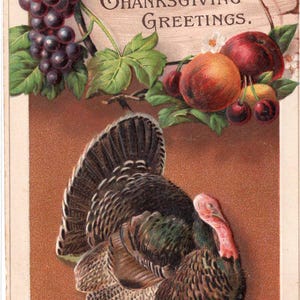 Thanksgiving Vintage Postcard, Embossed Turkey