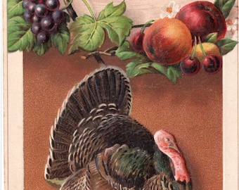 Thanksgiving Vintage Postcard, Embossed Turkey