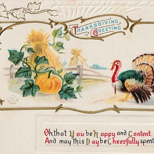 Turkey, farm Vintage postcard, Thanksgiving Pumpkins Postcard  antique postcard