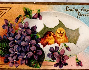 Easter Vintage Postcard, violets, chicks, big cracked Easter egg, antique, unused, For Vintage Hunter