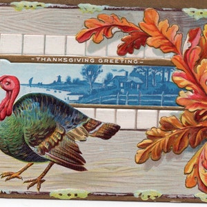 Thanksgiving turkey vintage postcard, Thanksgiving Greeting antique embossed post card