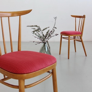 Può includere: Due sedie in legno con seduta in velluto a coste rosso. Le sedie hanno una finitura marrone chiaro e uno schienale curvo. Un vaso con piante secche è sullo sfondo. Adatto per una sala da pranzo o una cucina.