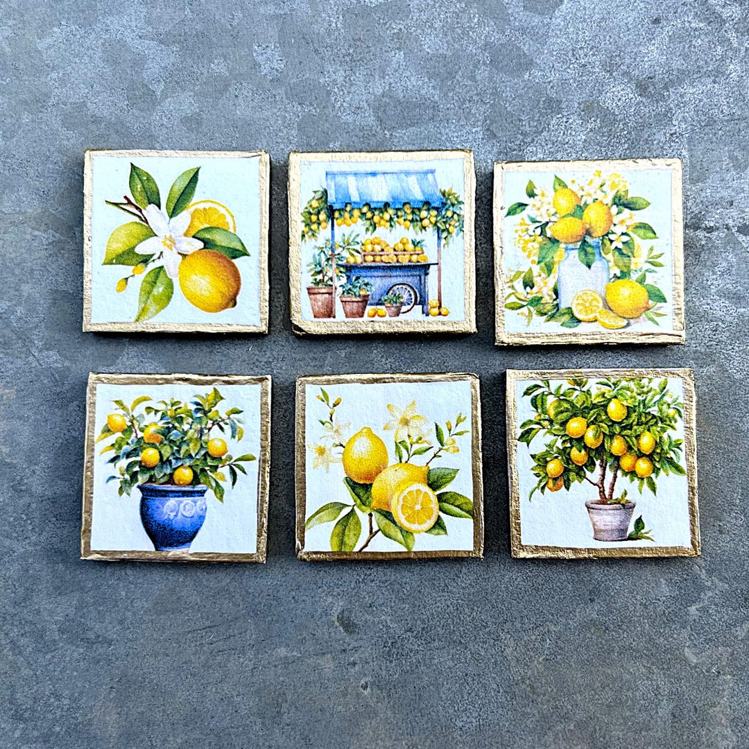 Lemon Magnets Lemon Magnet Set of 6 Mini Art Magnet Decorative Fridge Magnet Wood ...