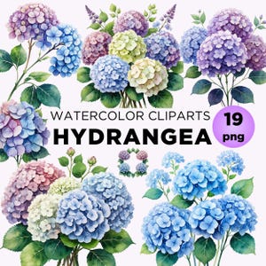 Bundle de cliparts fleur d'hortensia, PNG floral bleu violet aquarelle pour faire-part de mariage, artisanat botanique Art imprimable, téléchargement numérique