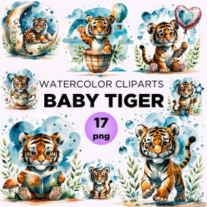 Pack de cliparts bébé tigre, aquarelle jungle animal lionceau PNG pour chambre d'enfant, album de scrapbooking, décoration de douche de bébé Safari numérique pour sublimation