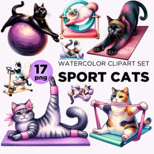 17 Cute Sport Cats Clipart Set, Memory Book, Junk Journals, Scrapbooks, Digital Planners, Commercial Use, Love Sublimation, Pilates Cat Png
