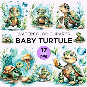 Könnte beinhalten: Aquarell-Cliparts mit entzückenden Babyschildkröten in verschiedenen Posen. Die Schildkröten haben grüne und braune Panzer, einige tragen Blumenkränze oder sind von Blasen umgeben. Der Text "WATERCOLOR CLIPARTS BABY TURTLE" ist zu sehen.