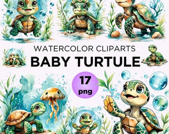 Watercolor Baby Turtle Clipart, Nursery Art PNG (Digital Download)