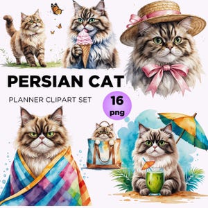 ペルシャ猫のクリップアート集、昇華転写用水彩猫アートPNG、ペットのイラスト、猫好きの方へのかわいいギフト、印刷可能なデザイン
