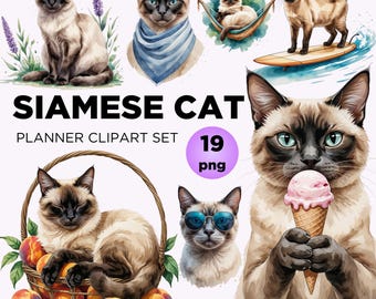 Siamese kat clipartbundel: aquarel kittenkunst (digitale png-download)