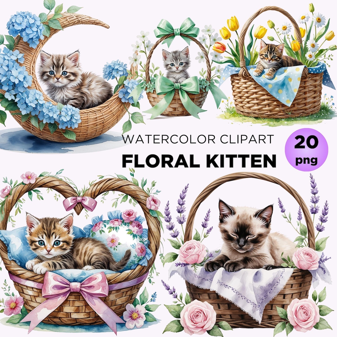 Floral Kitten Clipart: Watercolor Spring Cat PNG (digital Download) - Etsy