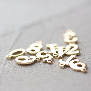One Piece Premium Gold Plated Solid Brass Charm - Number (4553C-1)