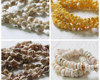 One Strand Natural Sea Snail Beads (G241)