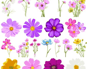Cosmos Flower SVG Bundle, Cosmos Flower png, Cosmos Flower eps, Cosmos Flower vector, Cosmos Clipart, Cosmos flower svg, Birth flower svg,