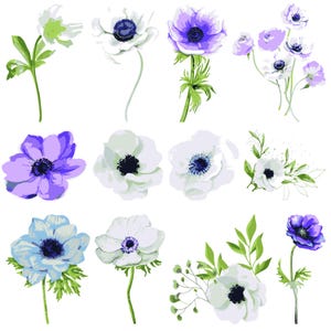 Anemone SVG Bundle, Anemone png, Anemone eps, Anemone Blume svg, Blumen Clipart Cut Files, Anemones Vektor, Anemone Blume eps