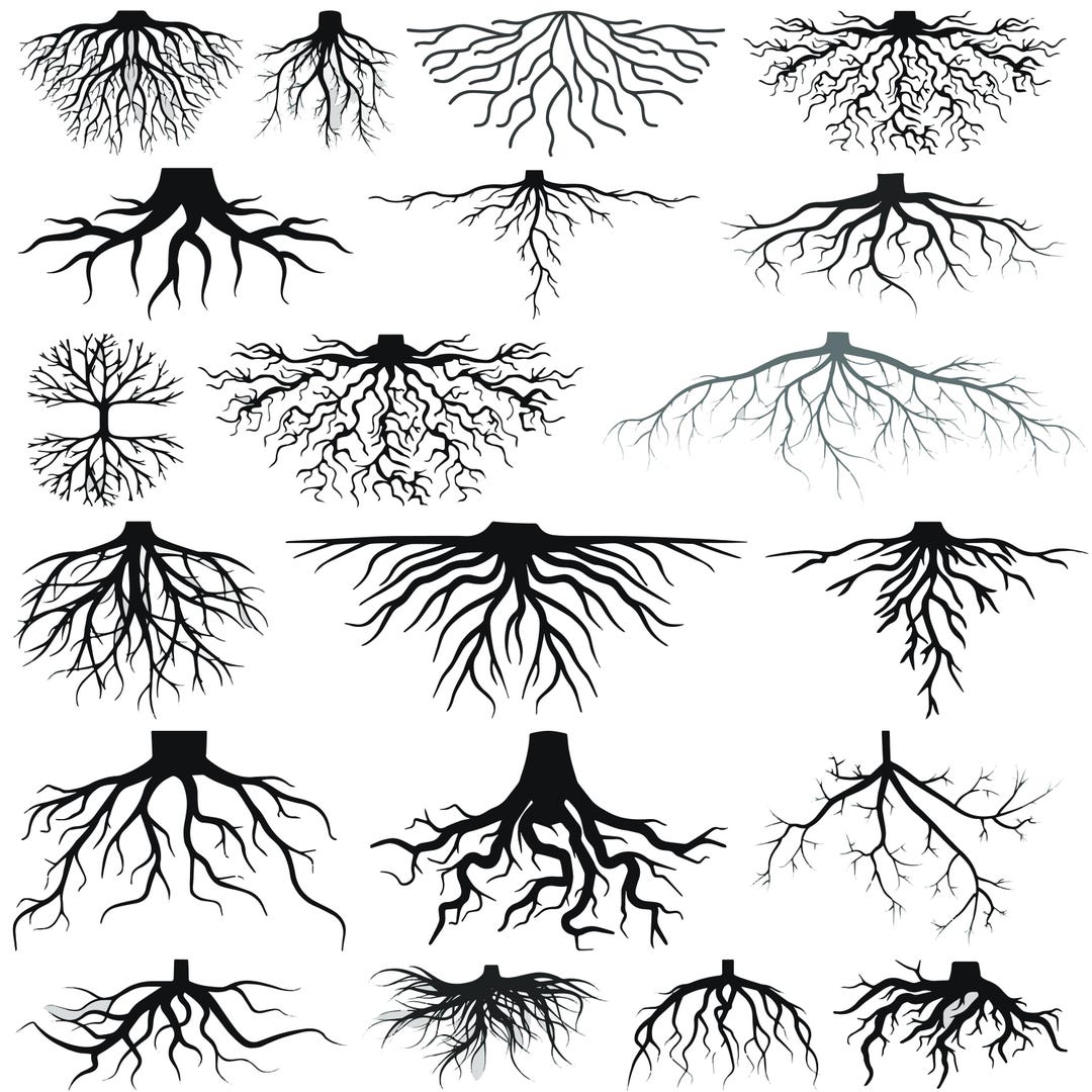 Tree Roots SVG, Roots Clipart, Roots Vector, Roots Silhouette, Ree ...