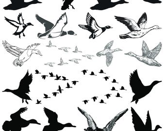 Flying Duck SVG Bundle, Flying Duck vector, Flying Duck outline, Flying Duck clipart, Flying Duck Silhouettes, Duck Cut Files