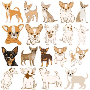 Chihuahua SVG Bundle, Chihuahua Clipart, Chihuahua eps, Chihuahua png, Chihuahua vector, Cute Dog Designs, Chihuahua Silhouettes,