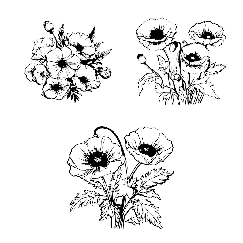 Poppy Cut Files Poppy Svg Bundle, Floral Clipart, Poppy Vector, Remembrance Day Decal ...