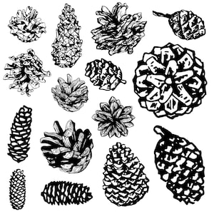 Pinecone svg Bundle, Cone Clipart, Pine Tree Vector, Conifer cone Decal, Autumn plant Cut Files, Woodland pine cone Silhouette.