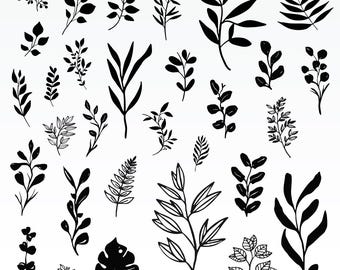 Botanical Leaves Svg Bundle, Botanical Leaves Clipart For Cricut, Leaves Silhouette, Leaves Vector, Hand drawn Designs, Leaves Cut Files.