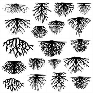 Tree Roots svg Bundle, Roots Clipart, Roots Vector, Tree Roots Decal, Tree Roots Cut Files, Roots Silhouette.