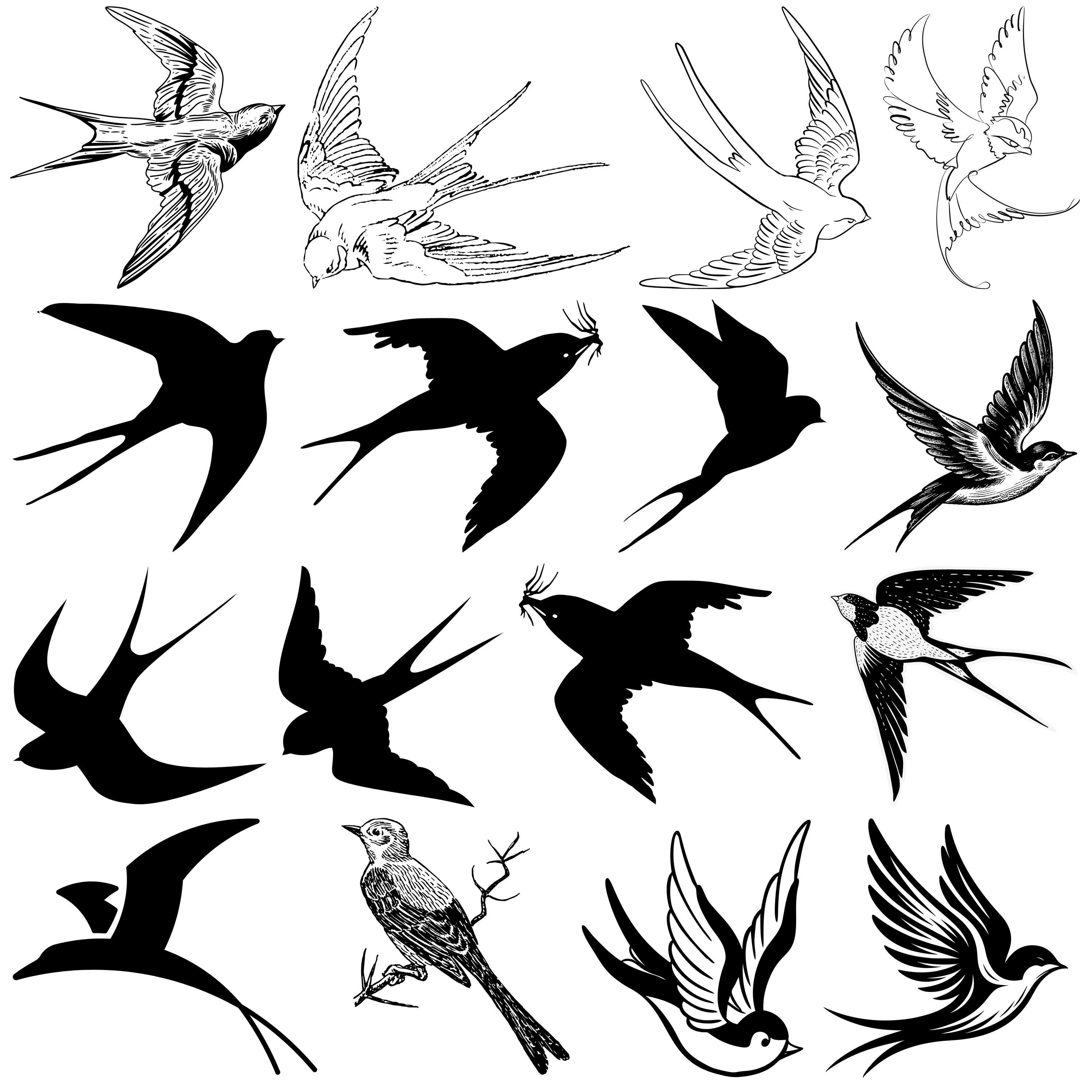 Golondrina png - Etsy México, image size:3000x3000