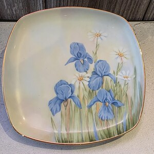 Peut inclure: Assiette carrée en céramique avec un fond vert clair et un bord doré. L'assiette présente des iris bleus et des marguerites blanches peints à la main avec des tiges et des feuilles vertes. Une pièce décorative pour servir ou exposer.