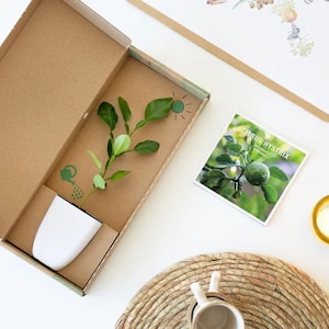 Boîte aux lettres cadeau Agrumes et carte personnalisées | Cadeau respectueux de l'environnement | Cadeau durable | Cadeau unique | Cadeau Montessori