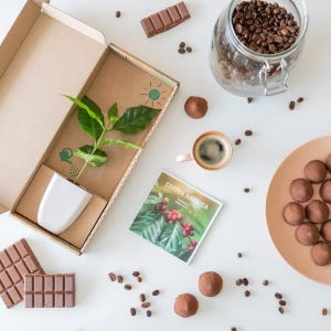 Brievenbuscadeau koffieboom en gepersonaliseerde kaart | Milieuvriendelijk cadeau | Duurzaam cadeau | Uniek cadeau | Montessoricadeau