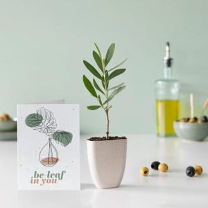 Mini albero e biglietto di incoraggiamento / regalo per cassetta postale / regalo ecologico / regalo unico / regalo pensando a te
