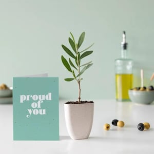 Carte de visite et mini-sapin cadeau Just Because | Boîte aux lettres cadeau écologique | Cadeau durable | carte personnalisée | Cadeau attentionné pour toute occasion