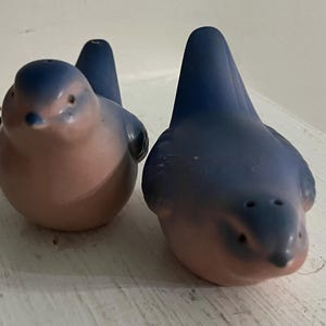 Vintage 1950’s Bluebird Salt and Pepper Shakers