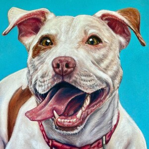 Custom Pet Portrait Handmade Original Drawing Dog portrait Cat portrait Pet memorial Realistic portrait from photo Dog art Cat art