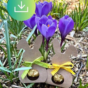 Puede incluir: Dos cajas de regalo con forma de conejito hechas de cartón marrón, cada una con un bombón de chocolate. Las cajas están atadas con cintas verdes y amarillas. Flores de crocus moradas florecen en el fondo, rodeadas de follaje verde, con tema primaveral.