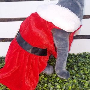Mrs. Claus