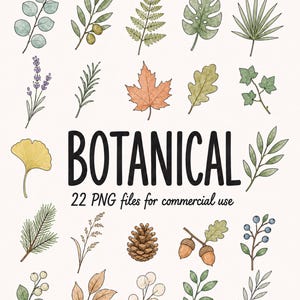 May include: A collection of twenty-two watercolour-style botanical illustrations featuring various leaves, branches, a pinecone, acorns, and berries. The text BOTANICAL and 22 PNG files for commercial use is centred among the plant graphics.